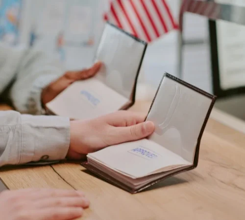 Visa Eligibility Assessment